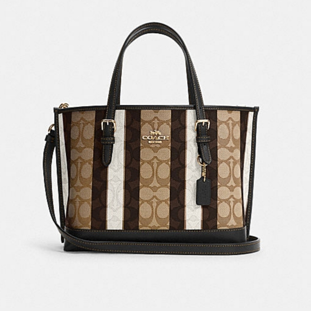 Nwot Coach bag. Small Mollie tote with stripes. Brown and tan. Gorgeous bag